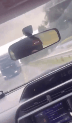 1123634053_L47oap2f_5bf8485d4ee45a3431d7b2796030608ae5ad1654.gif