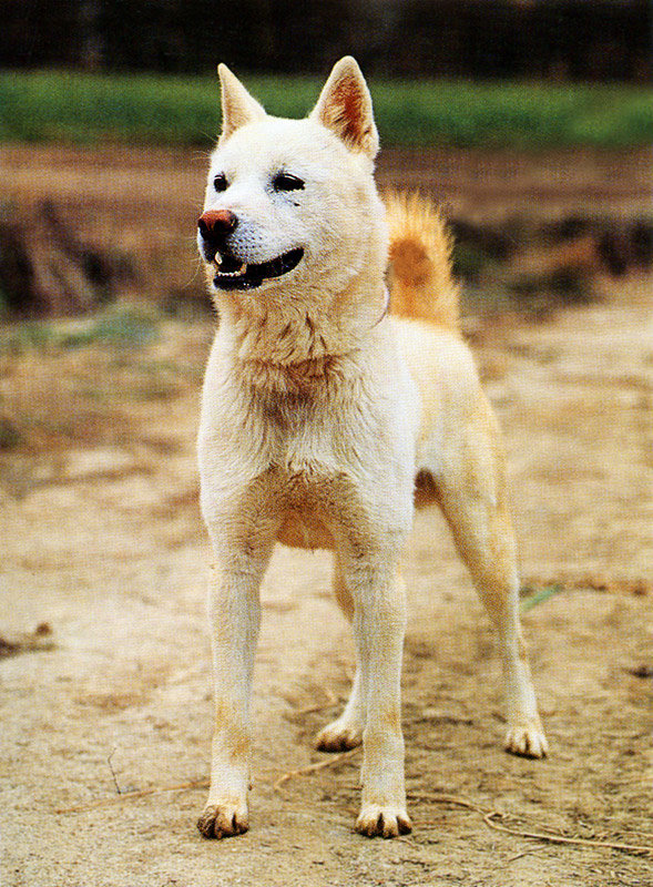 965545552_m7DzE9Za_f28f871f170ed1af62995f068c2b950de3c4c458.jpg