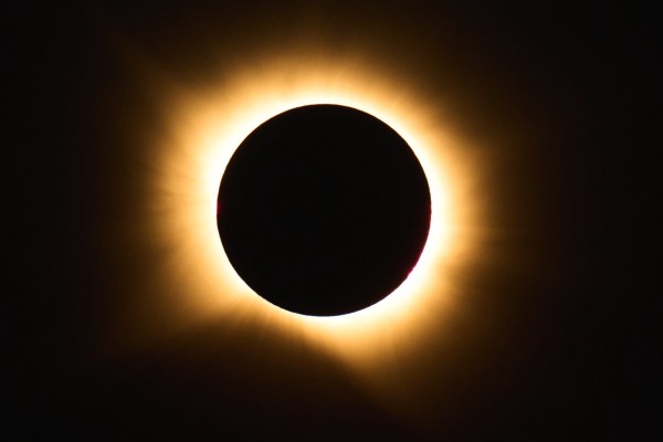 1242034722_yoUNlGMO_009be9f3f64e9cba5e1fbaf744fa0adc8de9349c.jpg