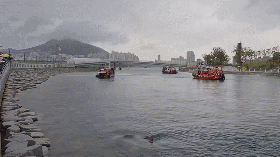 3628718224_rZnMY4RJ_71e8647096b4704921e3ad2030aa473bc8ad2072.gif